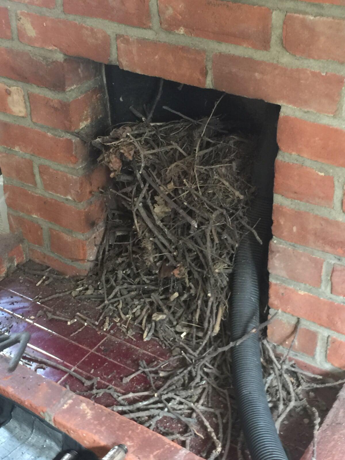 Chimney full of twigs