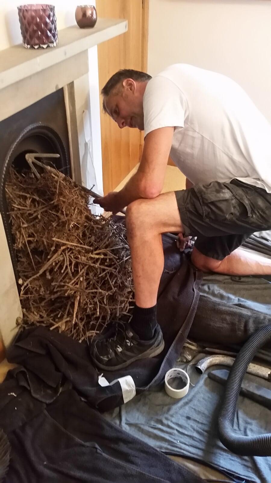 Removing a birds nest from a chimney