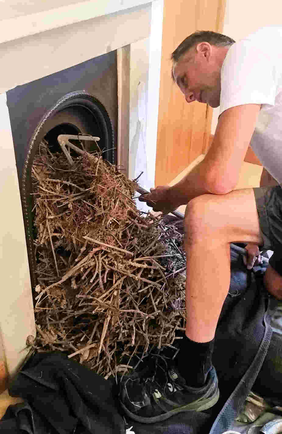 Removing a birds nest from a chimney