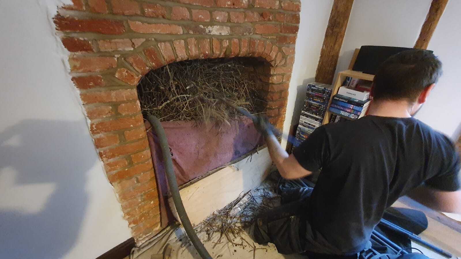 A very large birds nest in a chimney
